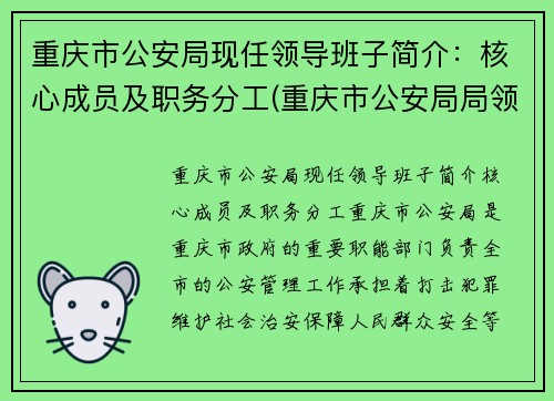 重庆市公安局现任领导班子简介：核心成员及职务分工(重庆市公安局局领导分工)