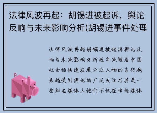法律风波再起：胡锡进被起诉，舆论反响与未来影响分析(胡锡进事件处理结果)